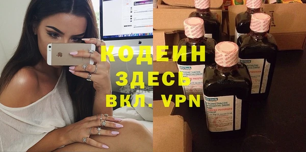 крисы Баксан
